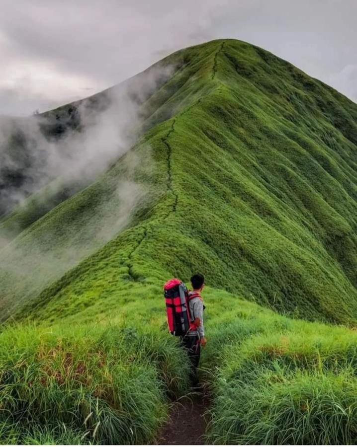 Eltari Homestay Tetebatu Luaran gambar