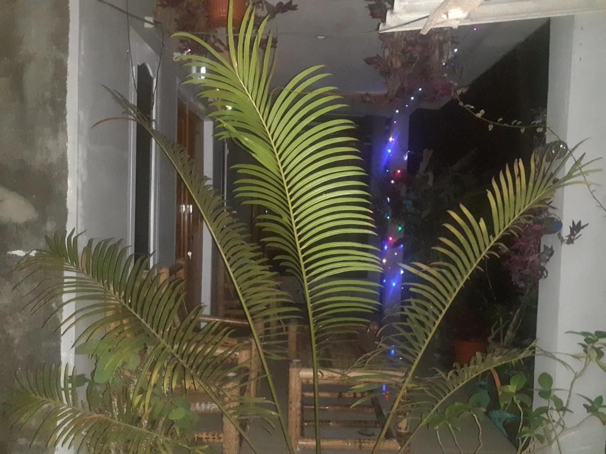 Eltari Homestay Tetebatu Luaran gambar