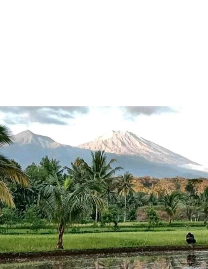 Eltari Homestay Tetebatu Luaran gambar