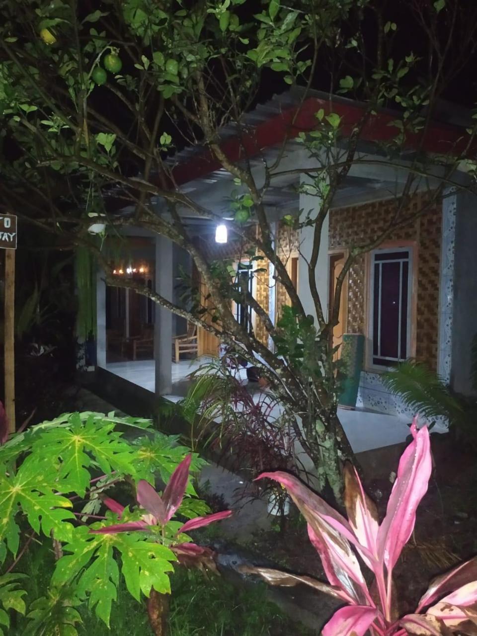 Eltari Homestay Tetebatu Luaran gambar