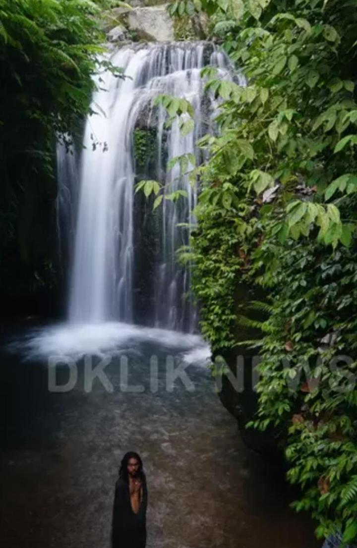 Eltari Homestay Tetebatu Bilik gambar