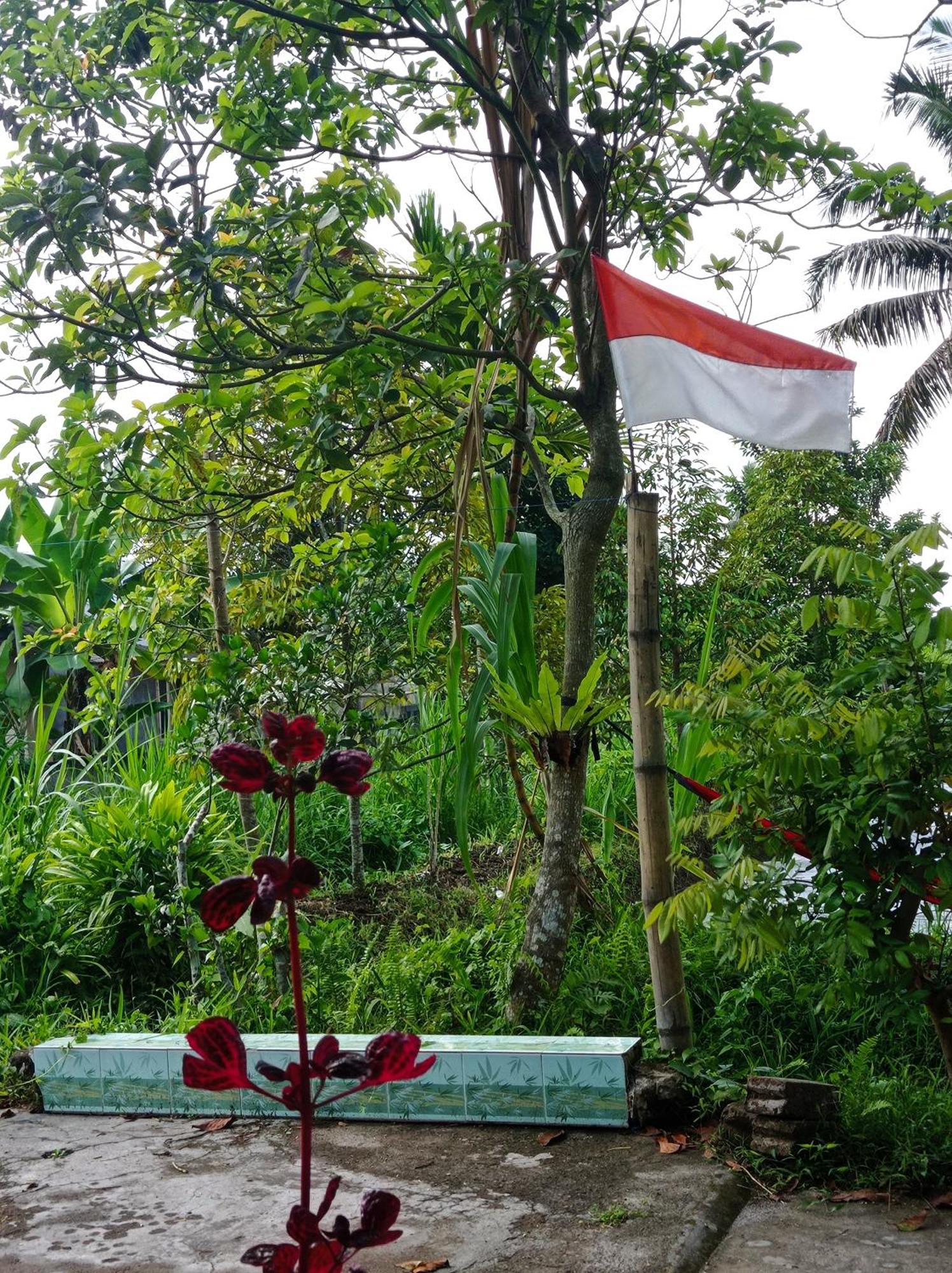 Eltari Homestay Tetebatu Bilik gambar